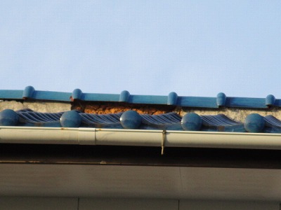 棟部　しっくい欠落