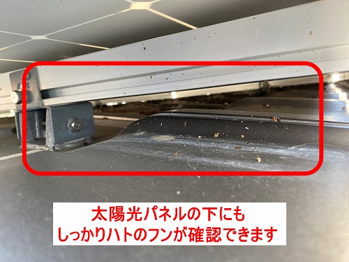 蒲郡市　太陽光パネル　フン被害　鳥の巣　防鳥対策