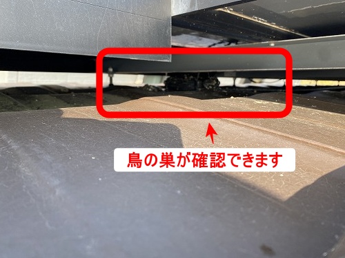 太陽光パネル　豊橋市　鳥の巣　パネル下　清掃