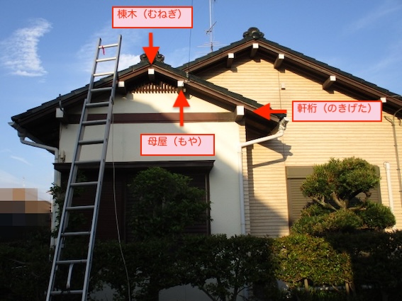 屋根　構造材　母屋　軒桁　棟木