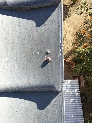 袖瓦　ビス留め