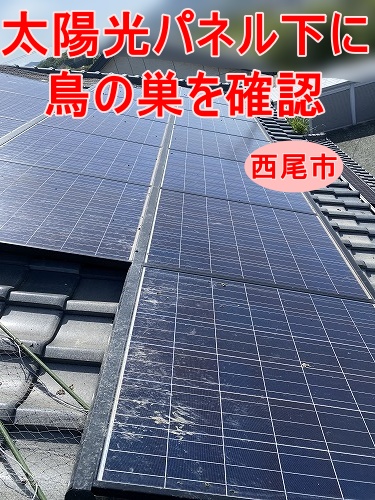 鳥の巣　防鳥対策　太陽光パネル　西尾市
