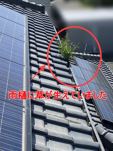 鳥の巣　防鳥対策　太陽光パネル　西尾市