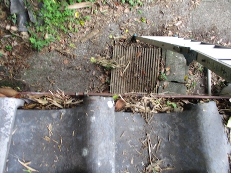 雨樋 詰まり 落ち葉 田原市