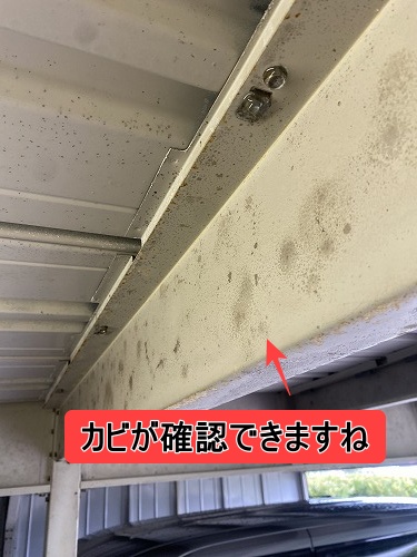 豊橋市　イナバ　ガレージ　雨漏り　カビ