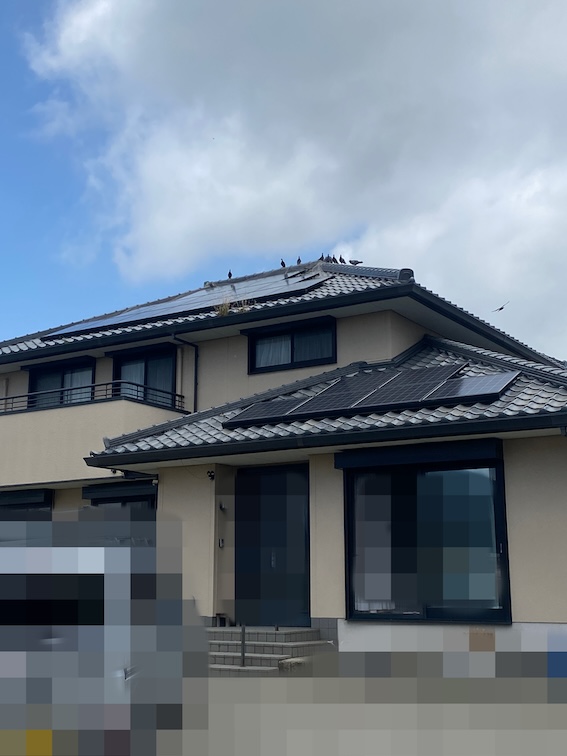 太陽光パネル　はと　被害　巣
