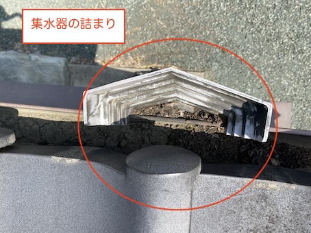 雨樋　詰まり　集水器