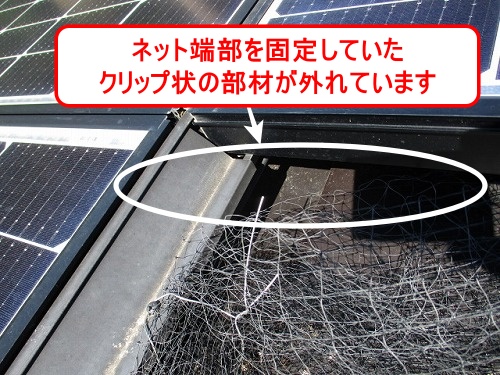 鳥の巣　防鳥対策　太陽光パネル　豊橋市　ＳＨＡＲＰ