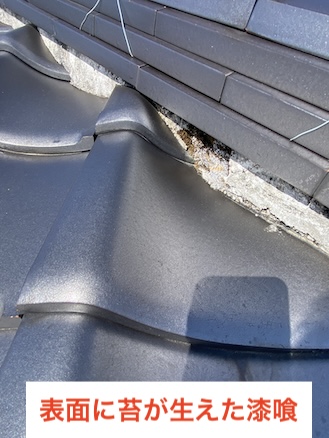 岡崎市　瓦屋根点検　漆喰不良　苔