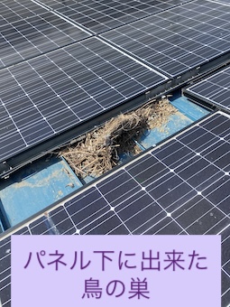蒲郡市　太陽光パネル　鳥の巣　鳥よけネット