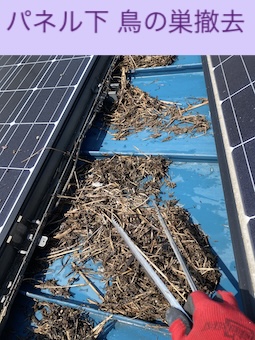 蒲郡市　太陽光パネル　鳥の巣　パネル下　清掃
