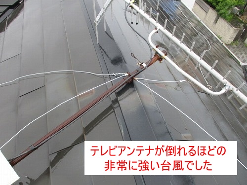 豊橋市　カバー板金　台風　劣化　火災保険