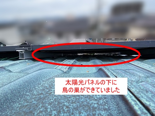 豊川市　バードブロッカー　太陽光　フン被害　鳥害