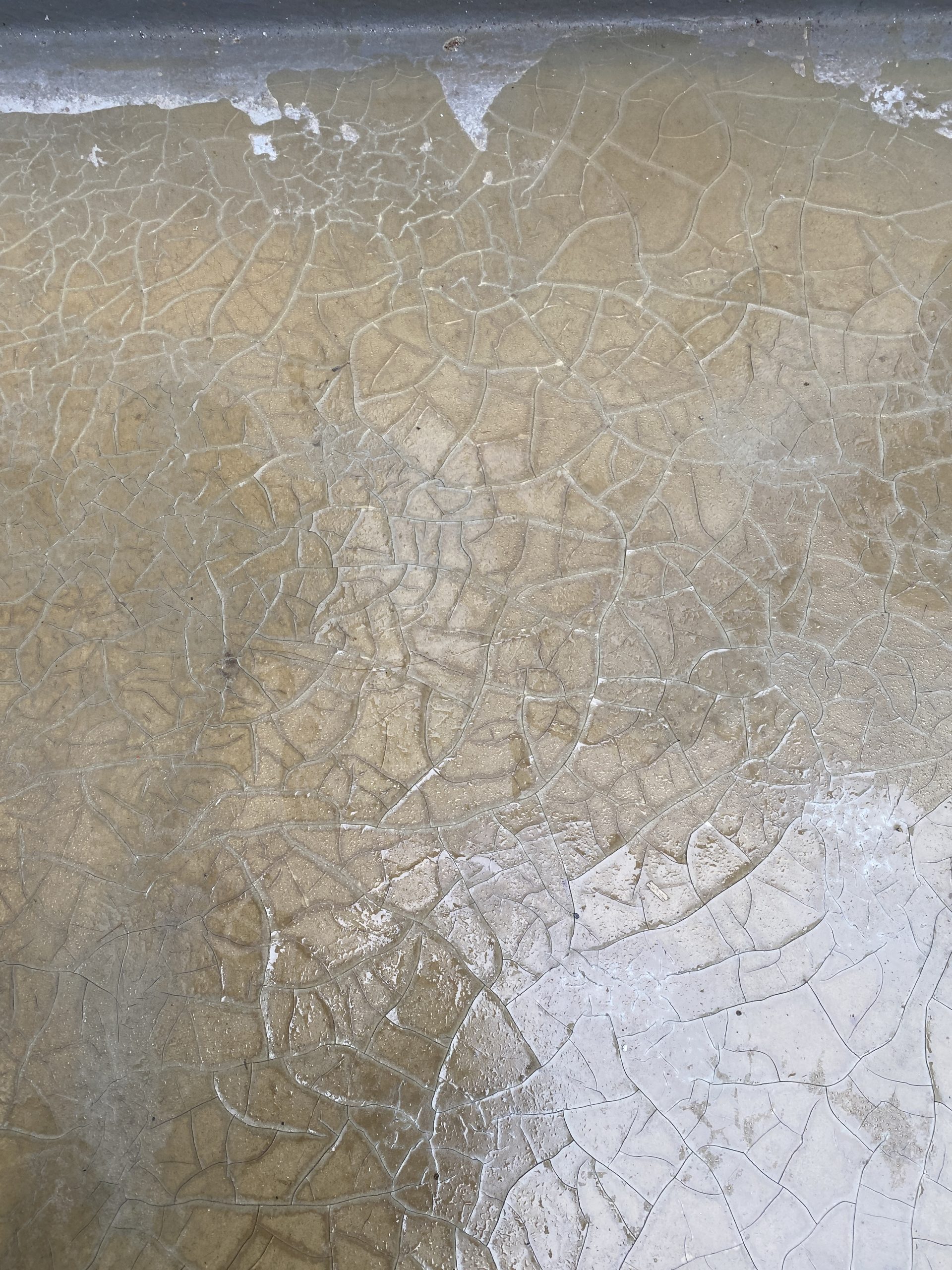 表面の劣化と防水層の浮き