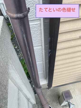 雨樋　詰まり　清掃　劣化