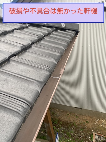 雨樋　詰まり　清掃　劣化　田原市