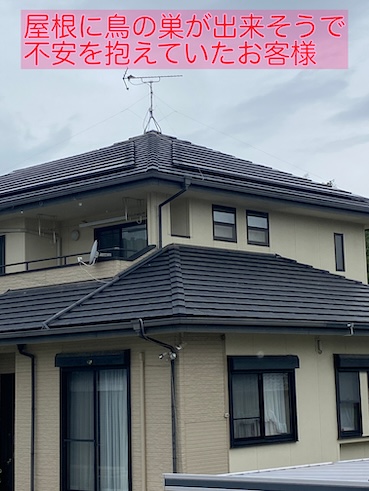 屋根 鳥の巣 対策 太陽光パネル 豊橋市