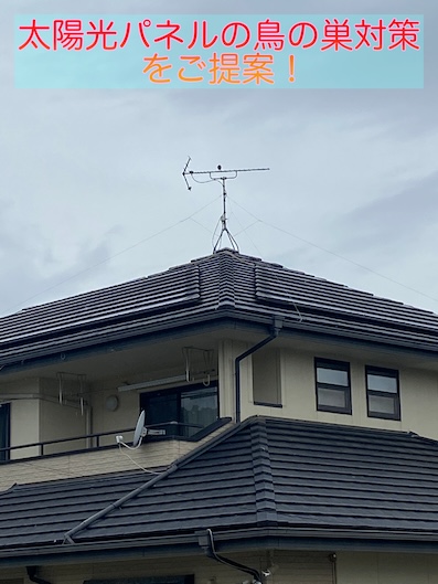 屋根　鳥の巣対策　ネット設置　豊橋市