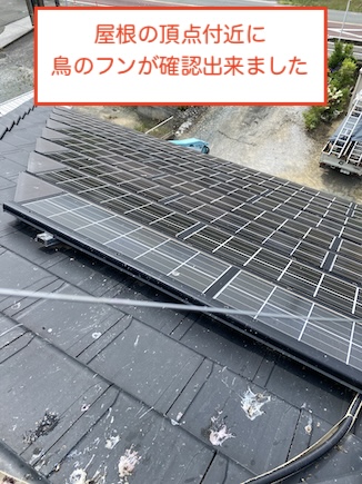 豊橋市　ソーラーパネル　鳥　フン　対策工事