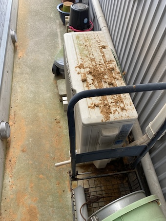 豊橋　瓦屋根　土　落下　軒天破損