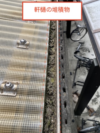 新城　波板屋根　軒樋　詰まり