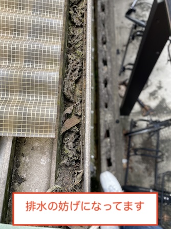 新城　波板屋根　軒樋　詰まり