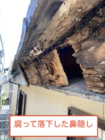 腐った鼻隠し　雨樋　落下　雨漏り　岡崎市