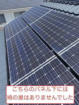 岡崎市　太陽光パネル下　鳥の巣　対策工事