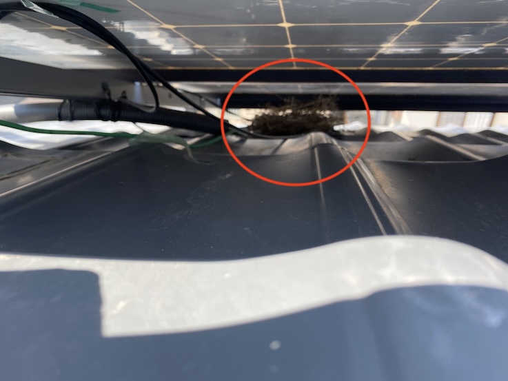 田原市　ソーラーパネル　鳥の巣　鳩　太陽光パネル