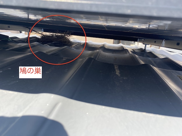 岡崎市　太陽光パネル下　鳥の巣　対策工事