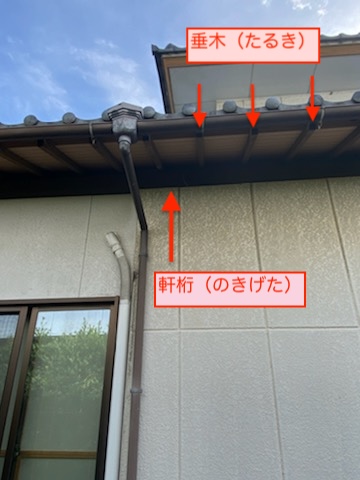 軒桁　垂木　化粧