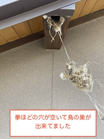 蒲郡　鳥の巣　母屋　穴あき　腐食　修理