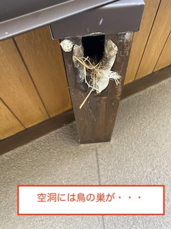 蒲郡　鳥の巣　母屋　穴あき　腐食　修理