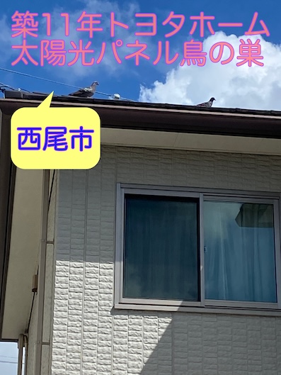 西尾市　トヨタホーム　鳥の巣　太陽光パネル