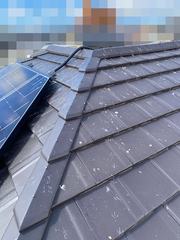 西尾市　トヨタホーム　鳥の巣　太陽光パネル