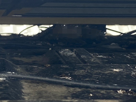 発電パネル　鳥の巣　屋根