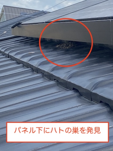 新城市　鳥　ふん害　鳥の巣　太陽光パネル