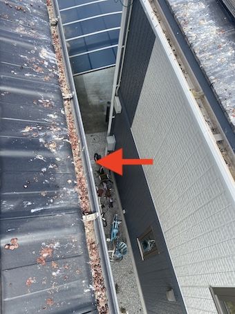 新城市　鳥　ふん害　鳥の巣　太陽光パネル 雨樋