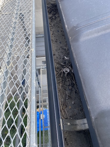 雨樋　ふん　詰まり