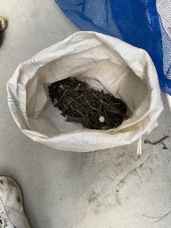 豊川市　トヨタホーム　鳥の巣　太陽光パネル　シャープ