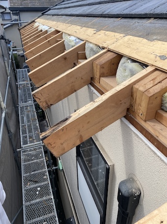 鼻隠し　交換　垂木