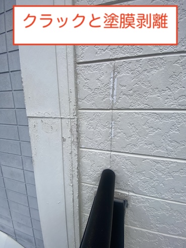 岡崎市　レオパレス　外壁　サイディング　苔　劣化　色褪せ