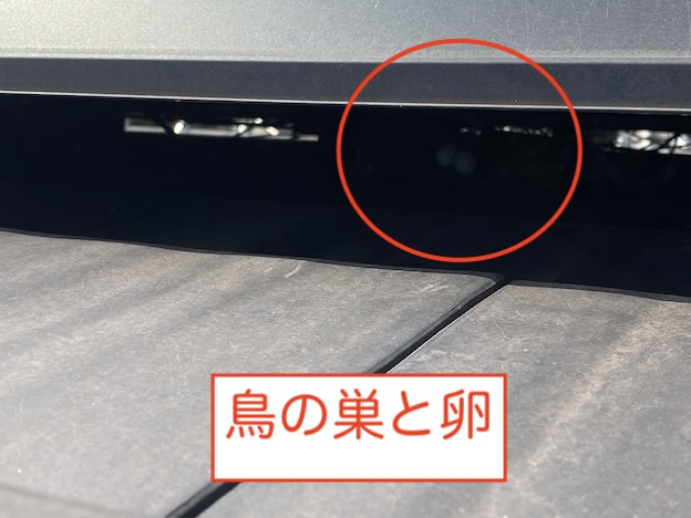 幸田町　太陽光パネル　鳥の巣　鳩　対策