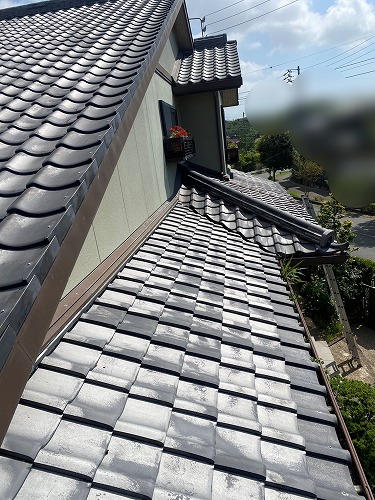 豊橋市　雨樋　落ち葉　雑木林　清掃　雑草