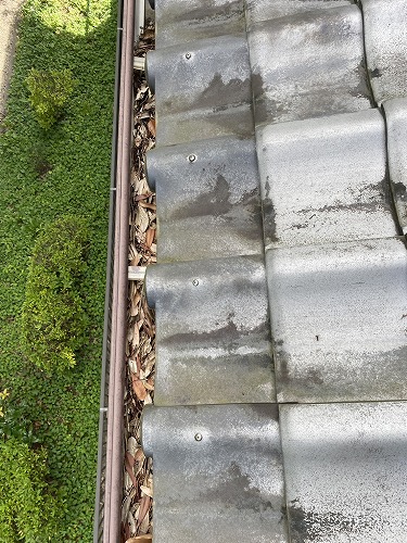 豊橋市　雨樋　落ち葉　雑木林　清掃　雑草