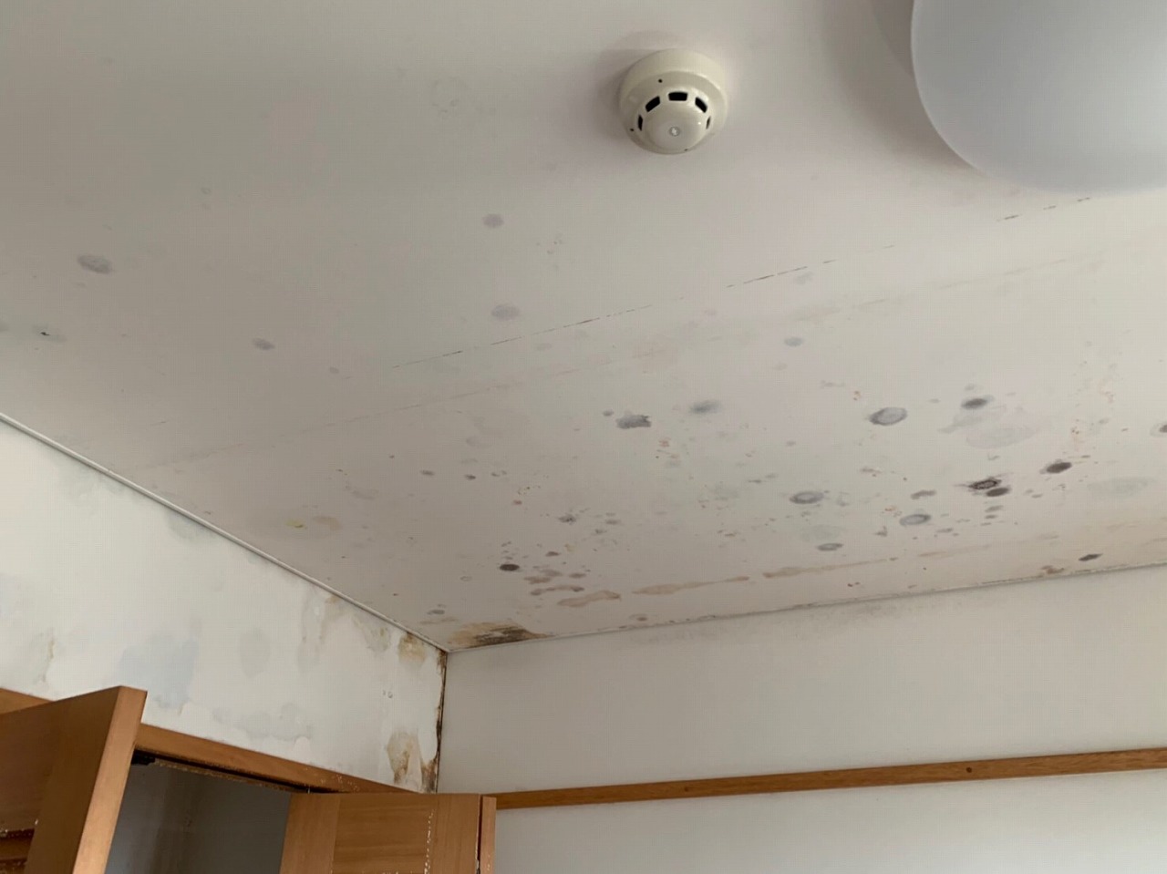 天井のシミ
