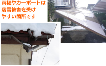 雪止め　積雪　岡崎市　雪害