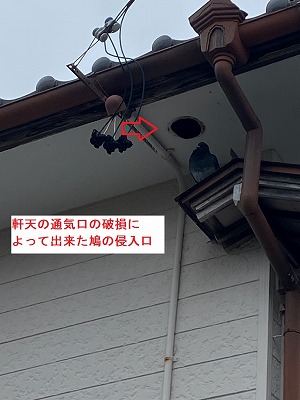 軒天　換気部材　鳩の巣　外れ　豊橋市　蒲郡市　穴