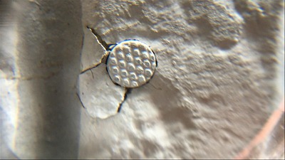 さいたま市中央区　サイディングボード　釘ひび割れ