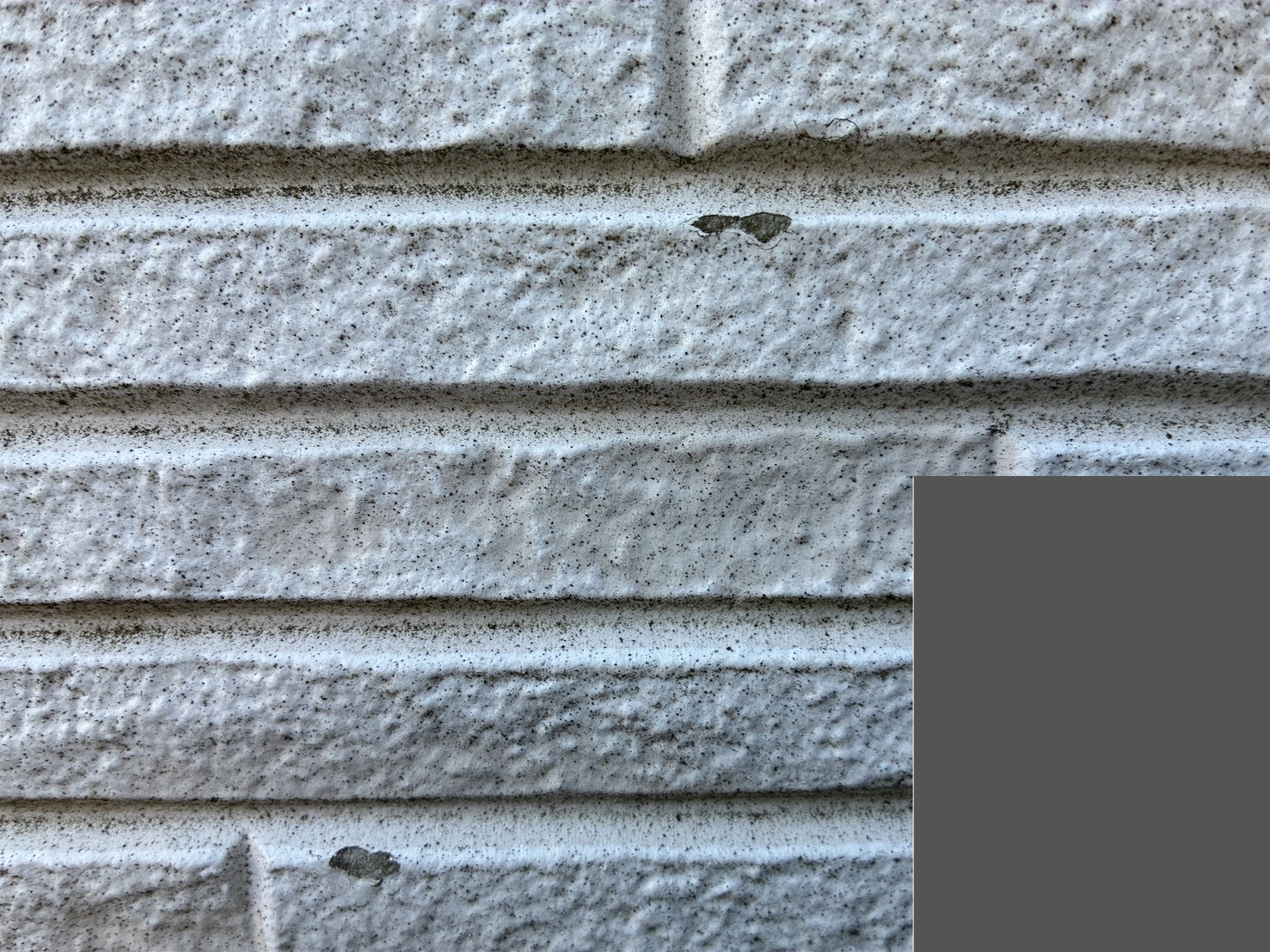 雹被害を受けて欠けたサイディング